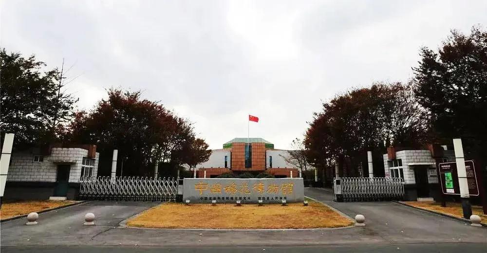 巖星特刊 | 在熱點(diǎn)之后,我們來(lái)看看這一座博物館插圖(1) 巖星特刊 | 在熱點(diǎn)之后,我們來(lái)看看這一座博物館插圖(1)